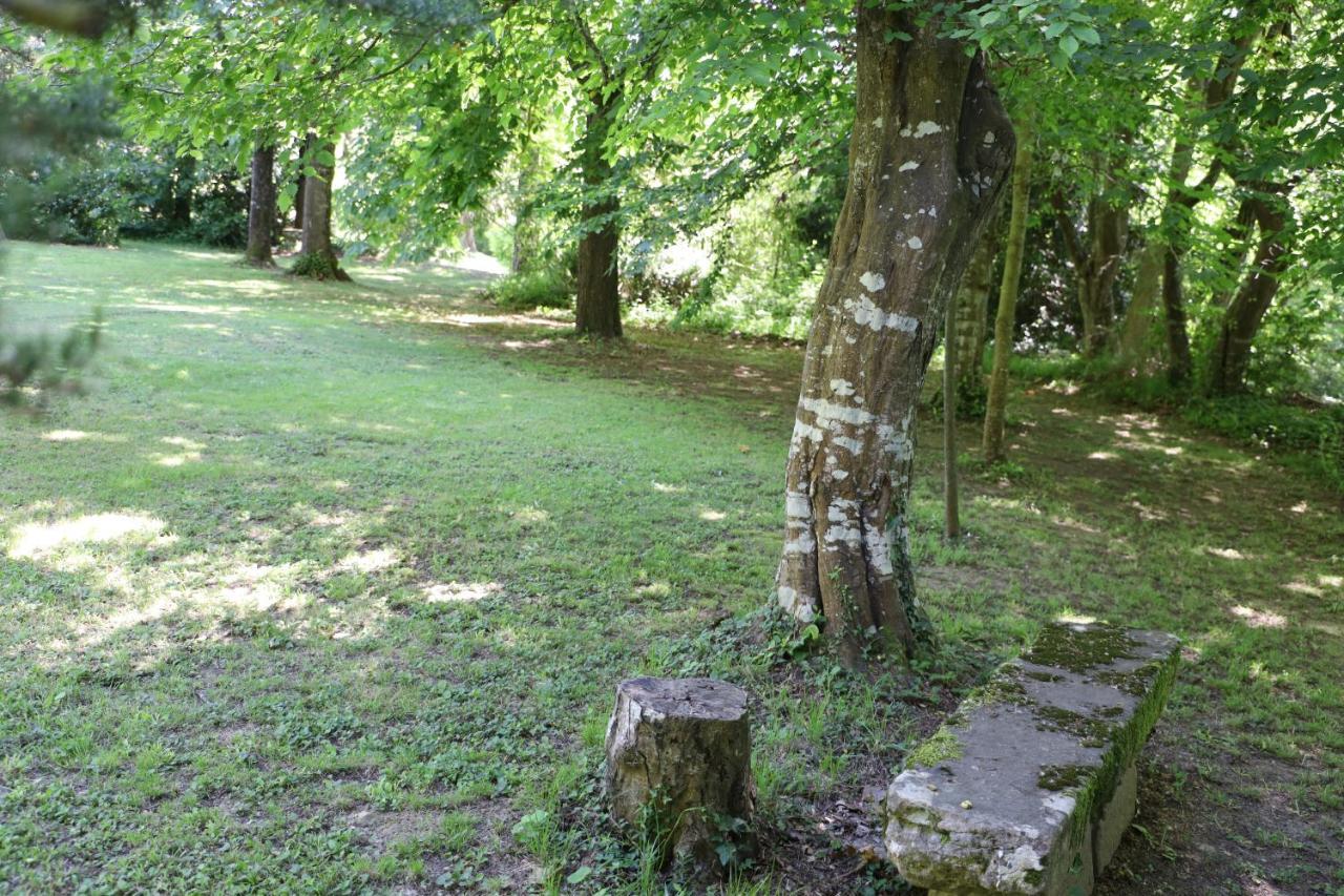 Domaine De Pouroutounat Mirepoix  Exteriör bild